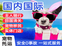 西双版纳嘎洒机场托运国际宠物托运 【国
